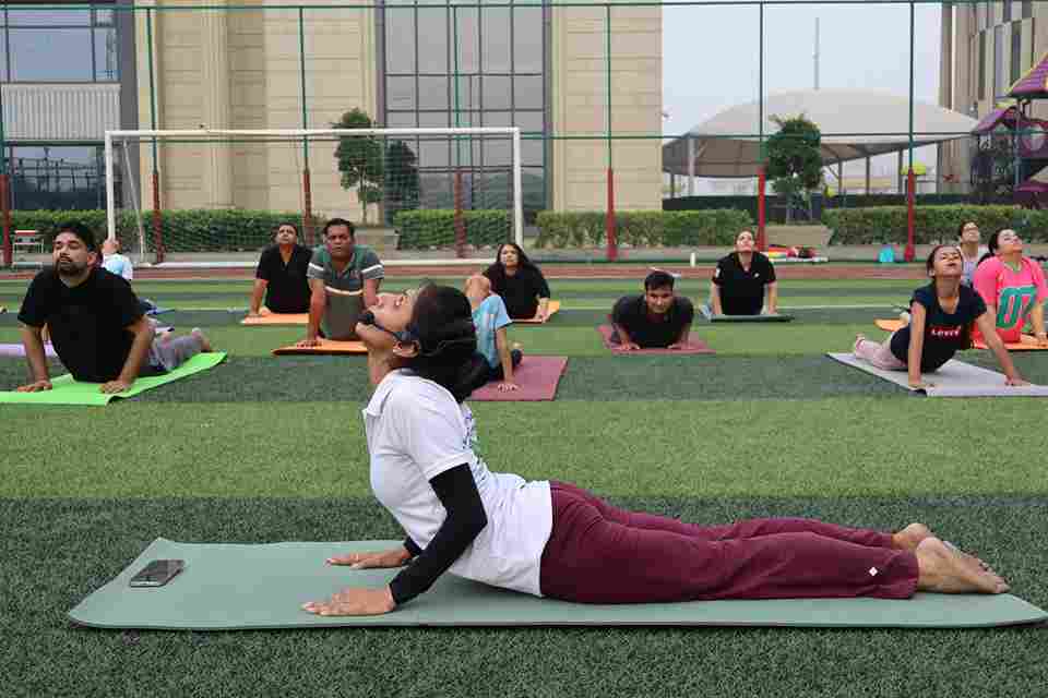 11th International Yoga Day