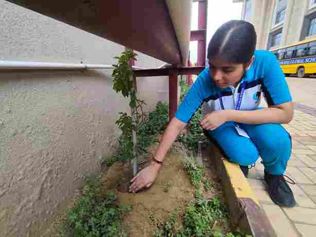 Plantation Drive IX-XI