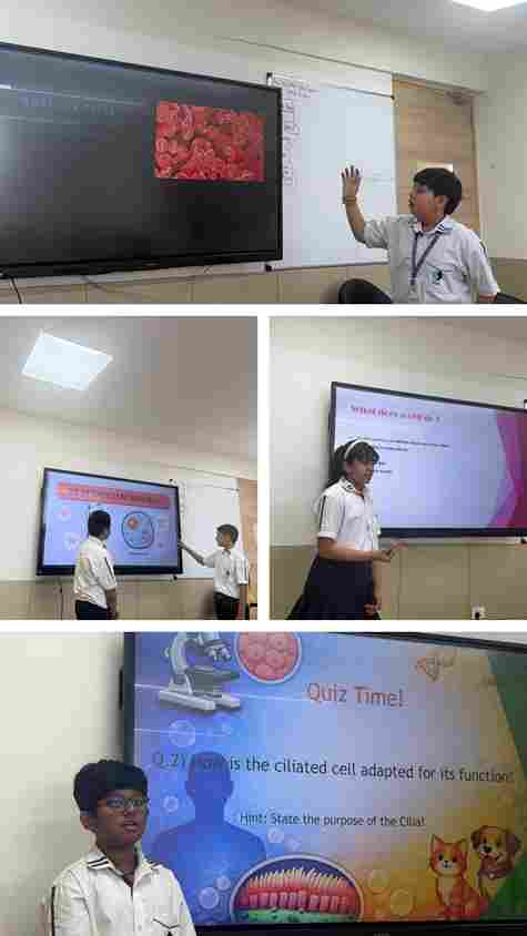 Experiential learning Grade 6A